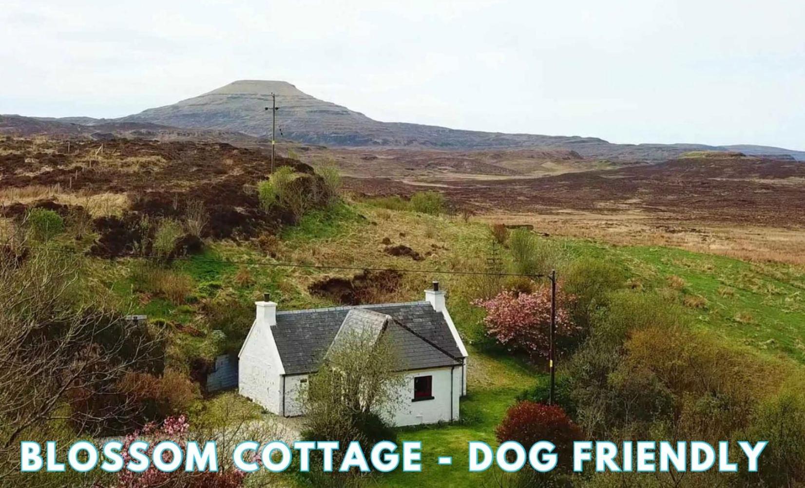 Araucaria Croft Skye Villa Dunvegan  Buitenkant foto