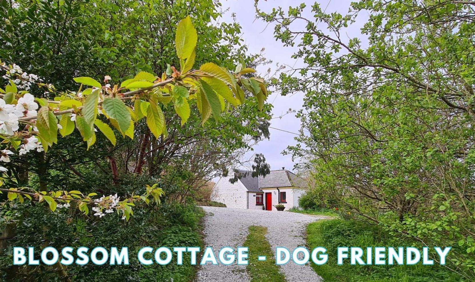Araucaria Croft Skye Villa Dunvegan  Buitenkant foto